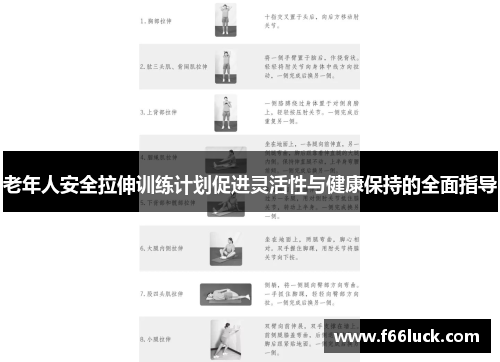 老年人安全拉伸训练计划促进灵活性与健康保持的全面指导