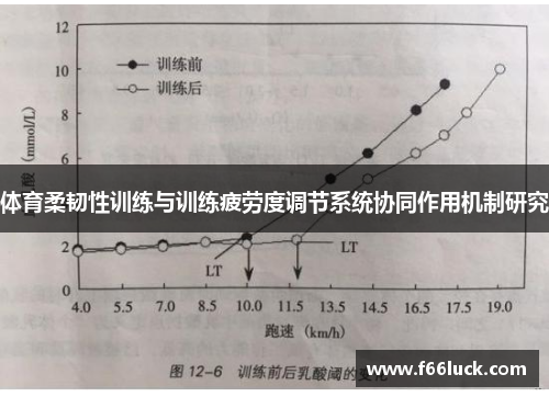 体育柔韧性训练与训练疲劳度调节系统协同作用机制研究