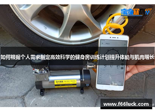如何根据个人需求制定高效科学的健身房训练计划提升体能与肌肉增长