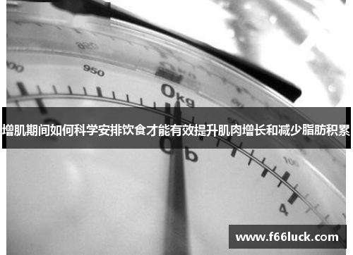 增肌期间如何科学安排饮食才能有效提升肌肉增长和减少脂肪积累